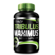 BioTech Tribulus Maximus 90Tabs